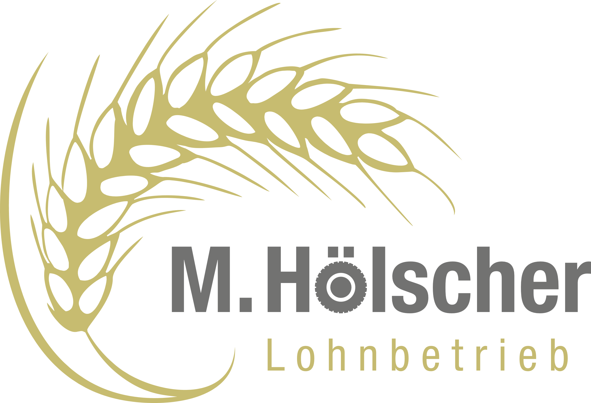 M. Hölscher